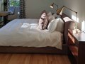 24-BEDROOM
